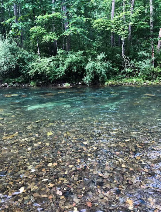 Blowing Springs Campground Picture 6
