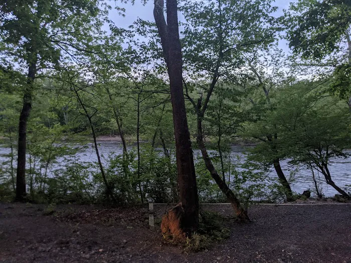 Twin River Campground Driveway Picture 7
