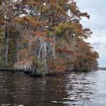 Holladay Island East
