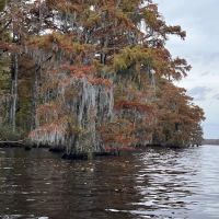 Holladay Island East ico
