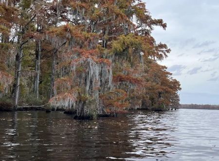 Holladay Island East