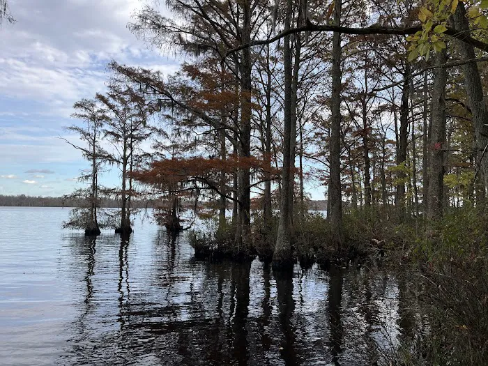 Holladay Island East Picture 5