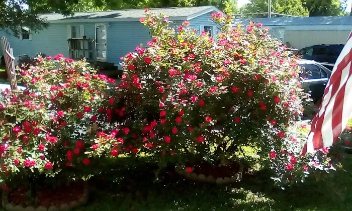 Homestead Mobile Home Park Picture 5