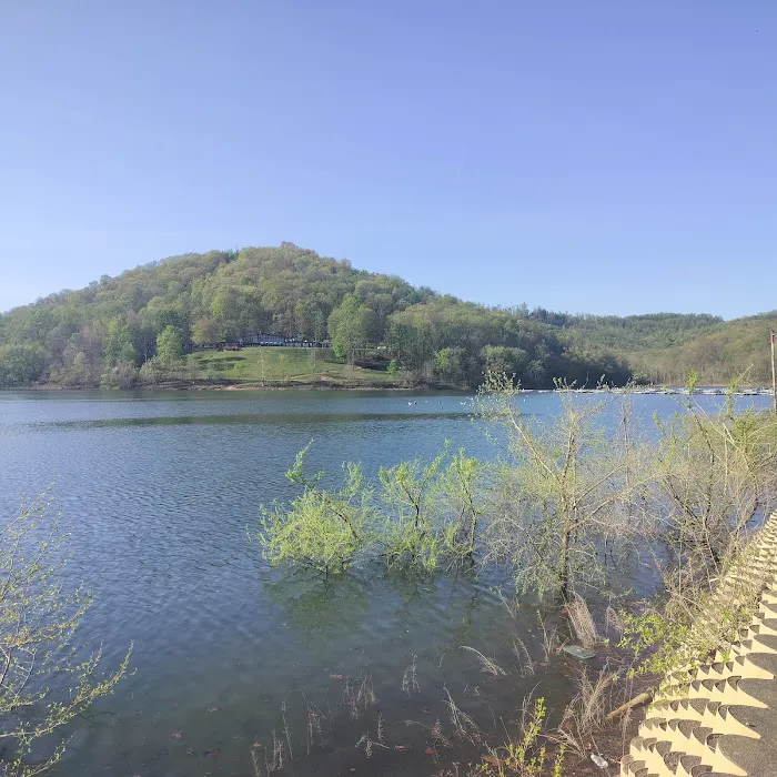 Tygart Lake State Park Campground Picture 5