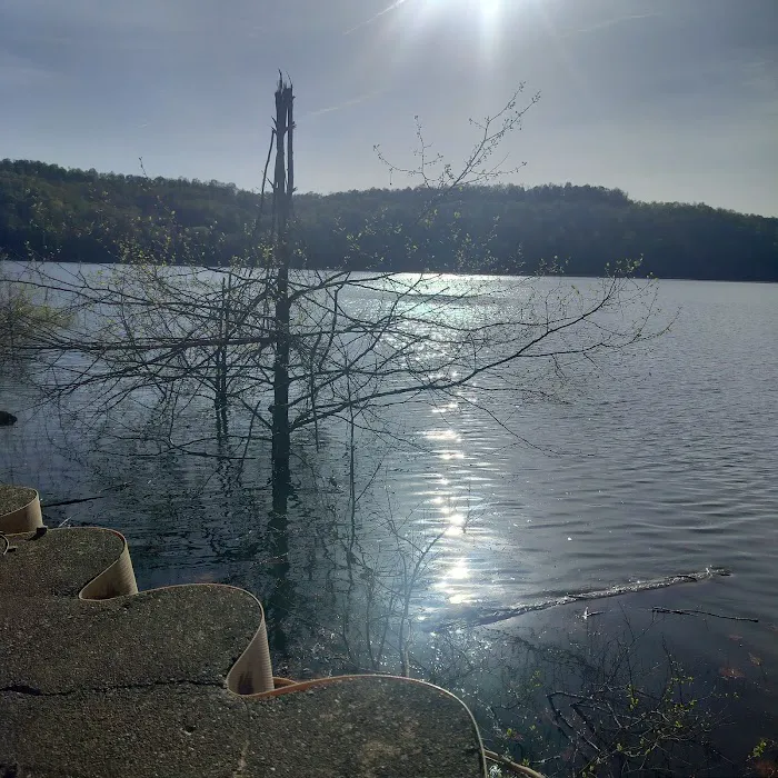 Tygart Lake State Park Campground Picture 7