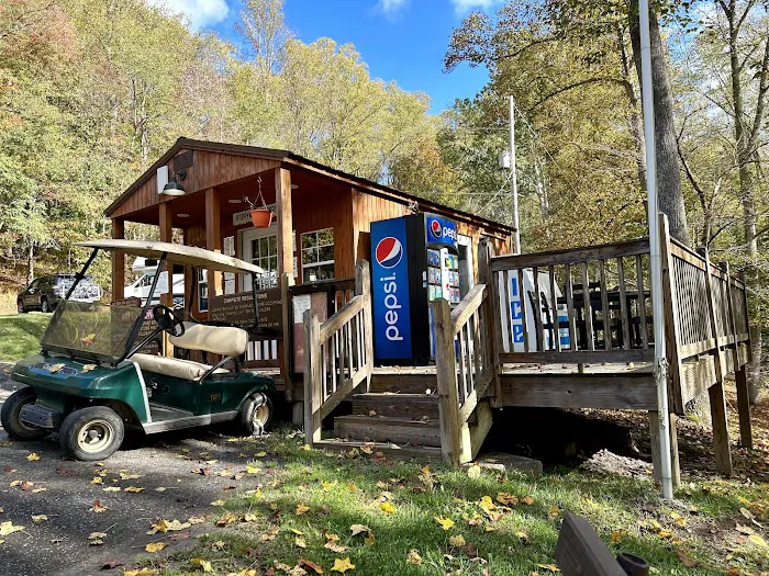 Tygart Lake State Park Campground Picture 3