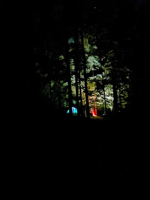 Tygart Lake State Park Campground Picture 1
