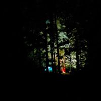 Tygart Lake State Park Campground ico