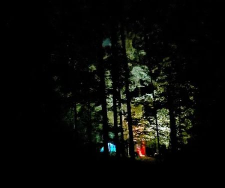 Tygart Lake State Park Campground