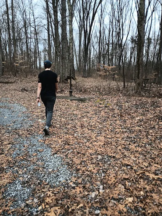 Pleasant Creek Campground Picture 6