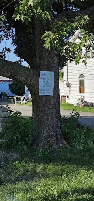 Davis Mobile Home Park Picture 2