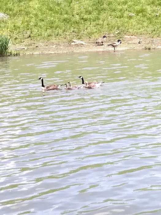 Curtisville Lake and Campground Picture 9
