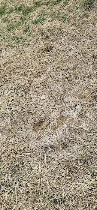 Tymber Park Campground Picture 1