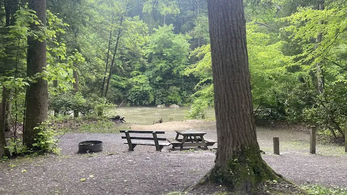 Audra State Park Campground Picture 2