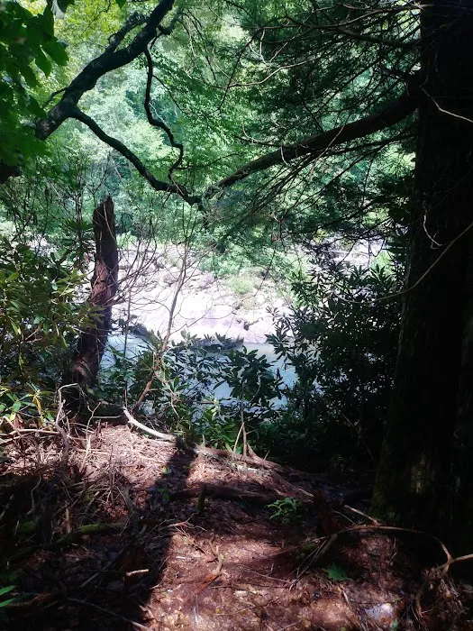 Audra State Park Campground Picture 9