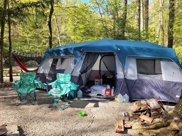 Audra State Park Campground Picture 4
