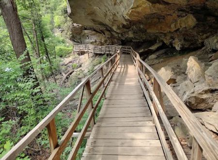 Audra State Park Campground