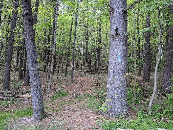 Beaver Creek State Park Family Campground Picture 9