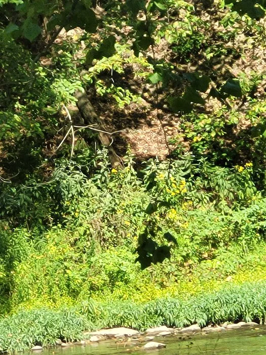 Beaver Creek State Park Family Campground Picture 4