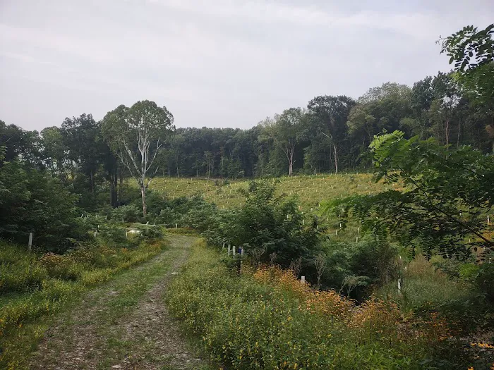 Beaver Creek State Park Family Campground Picture 10