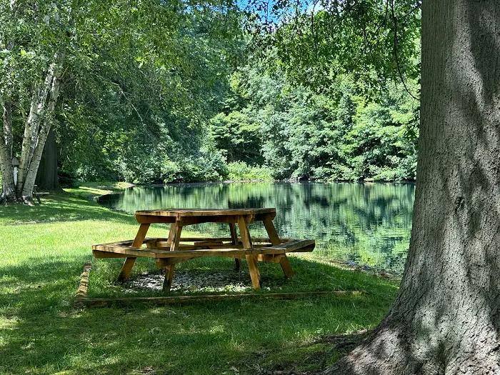 My Place at Thorn Hollow Picture 10