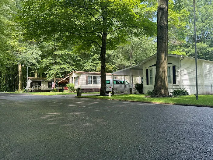My Place at Thorn Hollow Picture 5