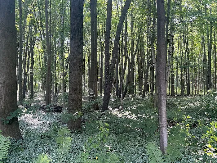 My Place at Thorn Hollow Picture 8