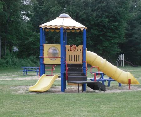 Deerfield Pines