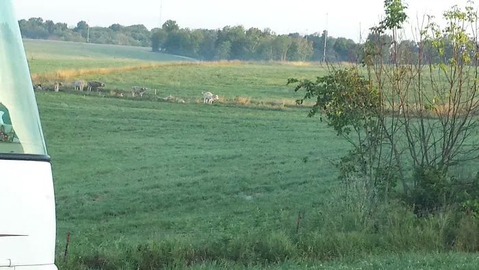 Jambo Campground D Picture 9