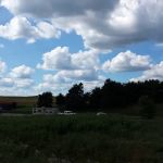 Jambo Campground D