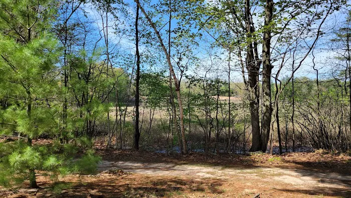 The Woodland Shores RV Resort Picture 9