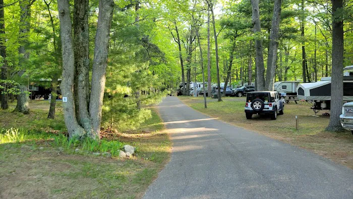 The Woodland Shores RV Resort Picture 6