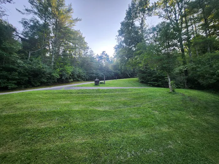 Harrison State Forest Ronsheim Campground Picture 5