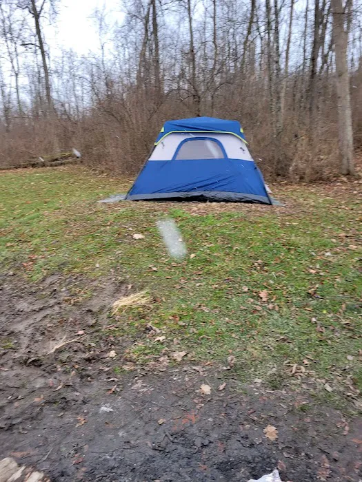 Harrison State Forest Ronsheim Campground Picture 7