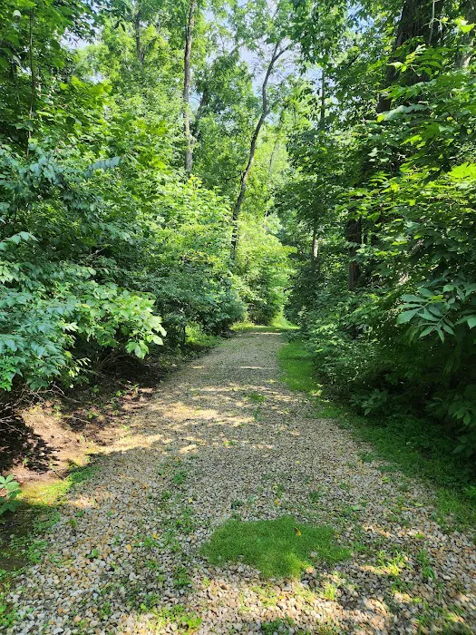 Harrison State Forest Ronsheim Campground Picture 6