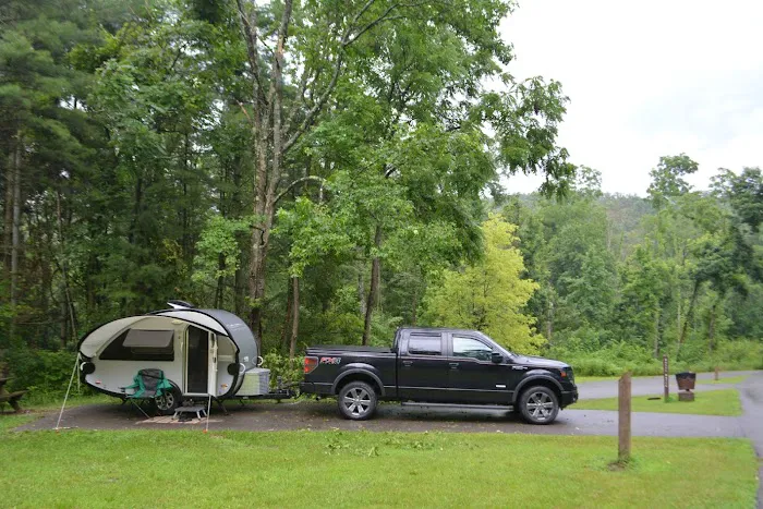 Harrison State Forest Ronsheim Campground Picture 3