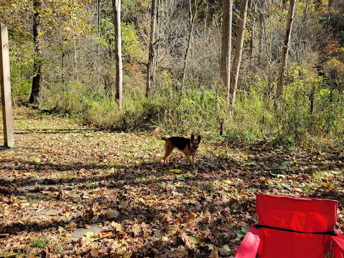 Trailriders Campground - Harrison State Forest Picture 6