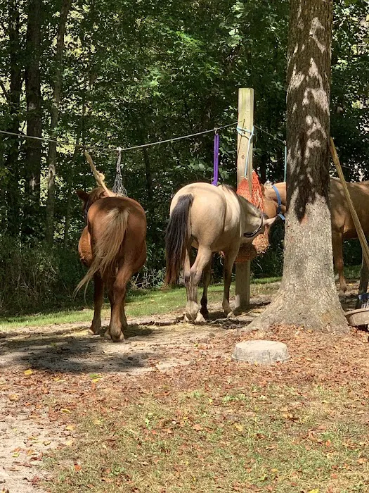 Trailriders Campground - Harrison State Forest Picture 10