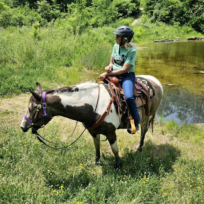 Trailriders Campground - Harrison State Forest Picture 8