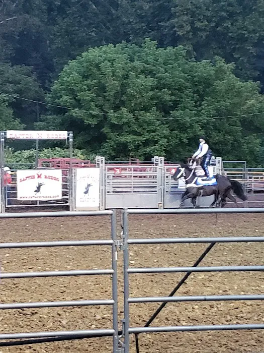 Wetzel County 4H Camp Picture 7