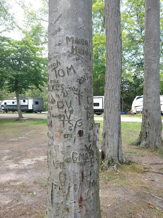 River Valley RV Park Picture 6