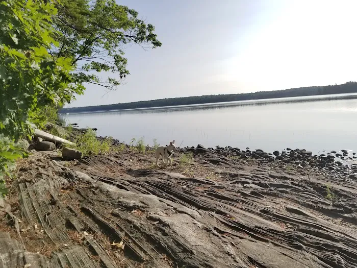 Lake Pemaquid Camping Picture 3