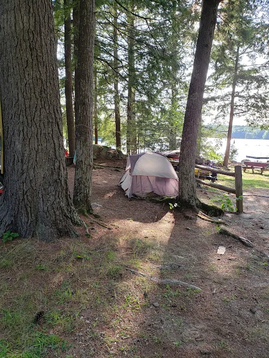Town Line Camping Picture 7