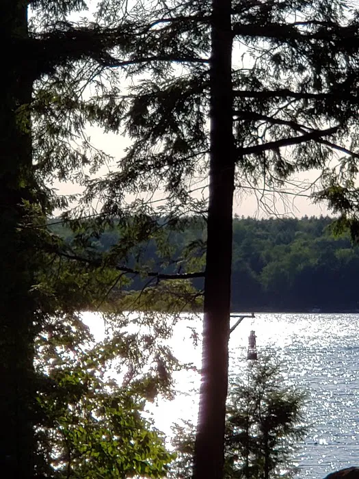 Town Line Camping Picture 10