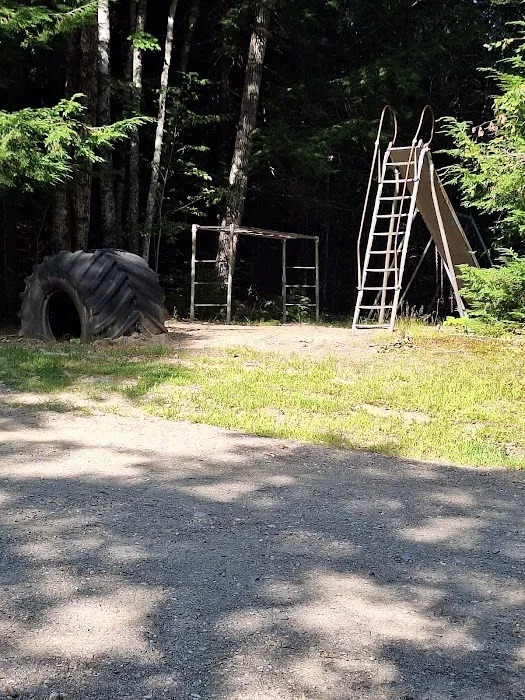 Town Line Camping Picture 5