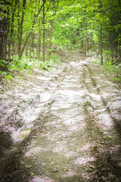 Skowhegan / Kennebec Valley KOA Journey Picture 7