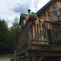 Bullfrog Adventures ico