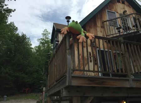 Bullfrog Adventures