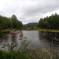 Trout Brook Campsites ico