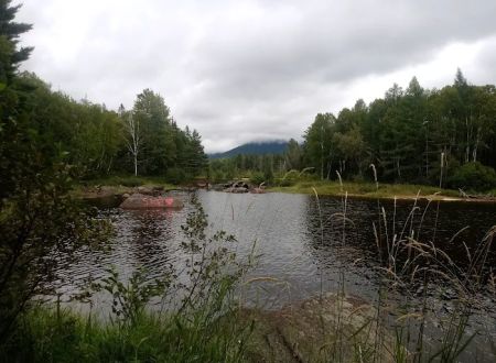 Trout Brook Campsites